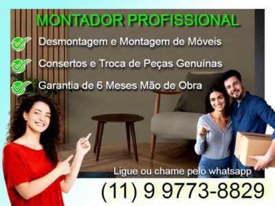 Montador de Móveis Araçariguama SP